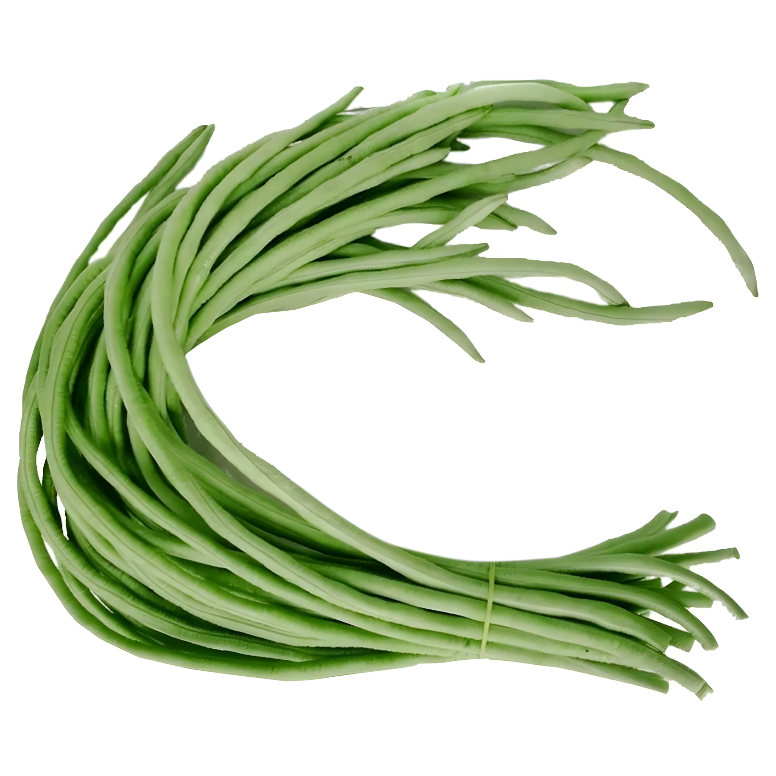 Barbati Kashi Kanchan