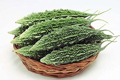 Hybrid Bitter Gourd - Kanak