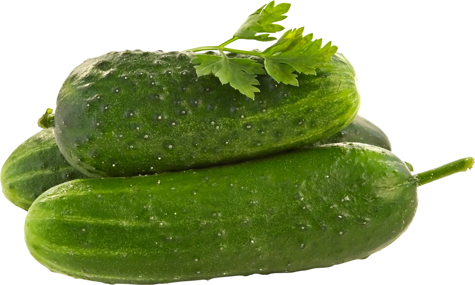 Hybrid Cucumber - Sheetal